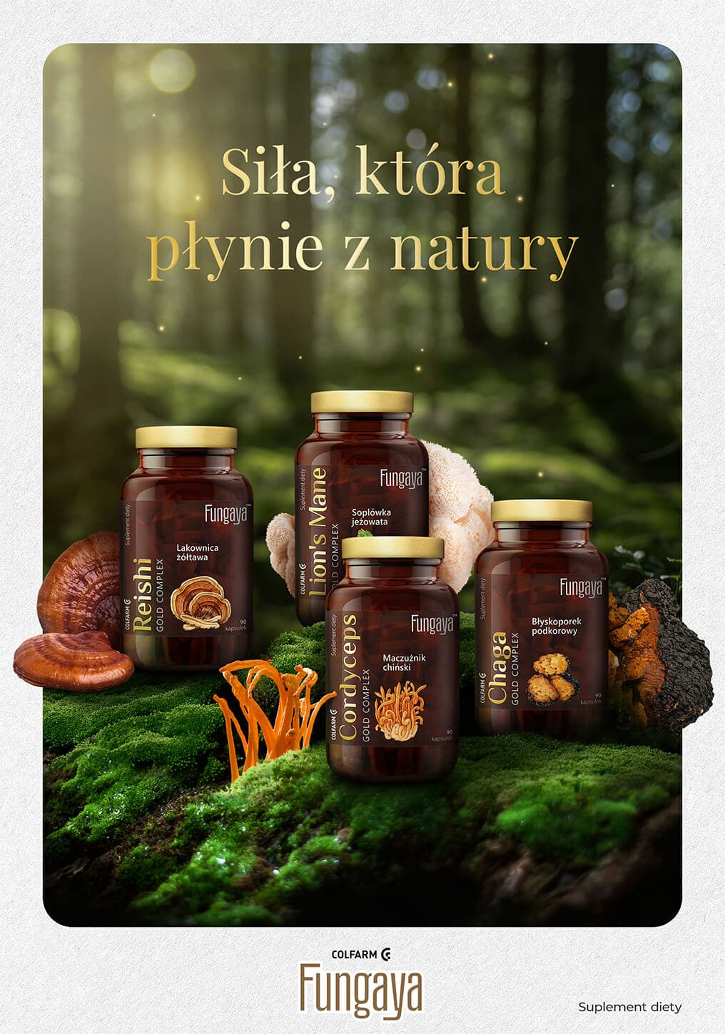 Projekt graficzny - identyfikacja wizualna