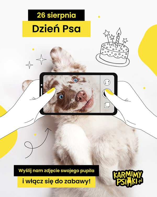 Projekt graficzny - fotomanipulacja